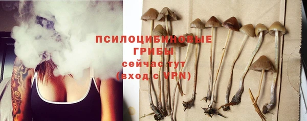 спайс Бородино