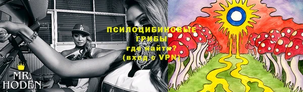 спайс Бородино