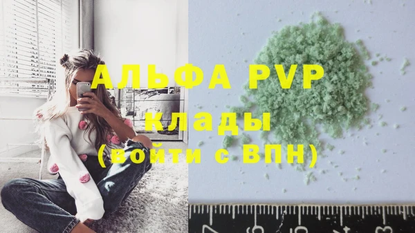спайс Бородино