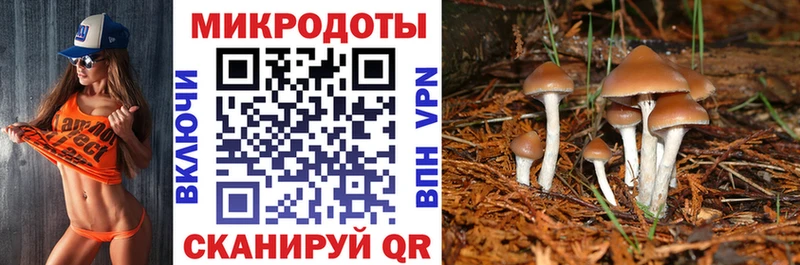 Псилоцибиновые грибы мухоморы Саранск
