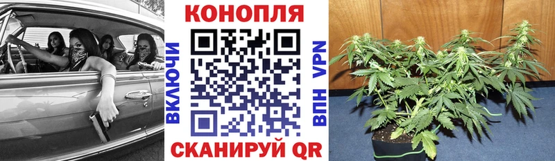 Марихуана Ganja  Купить где  Саранск 